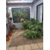 Pura Vida Stay — Your Perfect Base in Heredia, Costa Rica