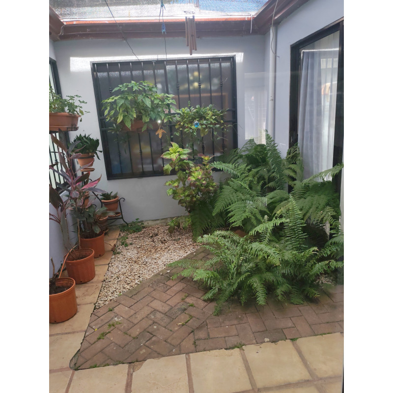 Pura Vida Stay — Your Perfect Base in Heredia, Costa Rica