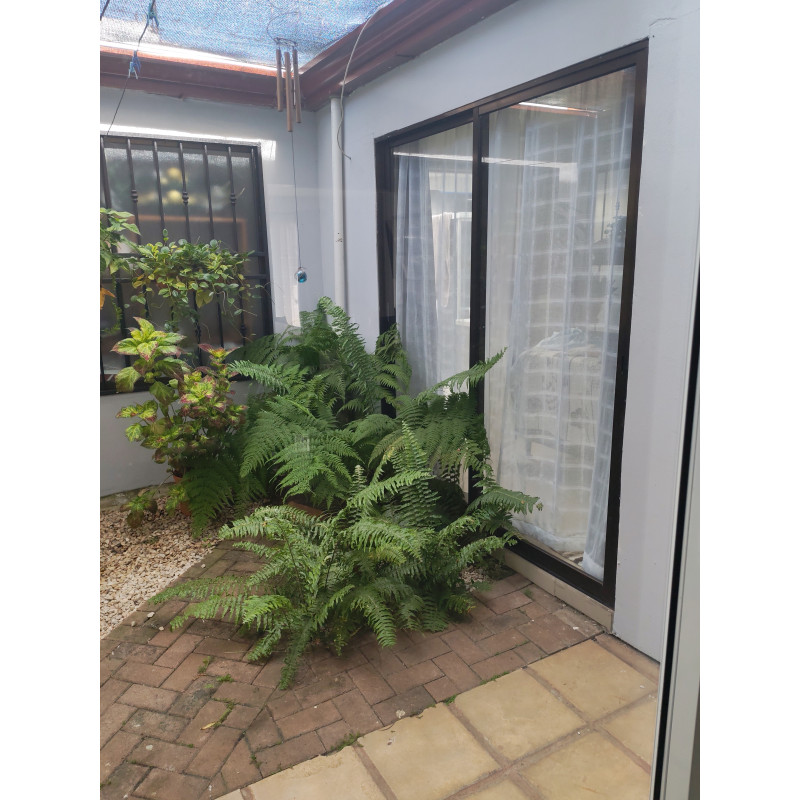Pura Vida Stay — Your Perfect Base in Heredia, Costa Rica
